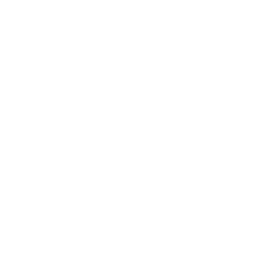 chat icon