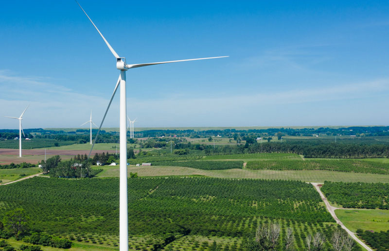 Windmills in the middle of a green farm under sunny blue sky